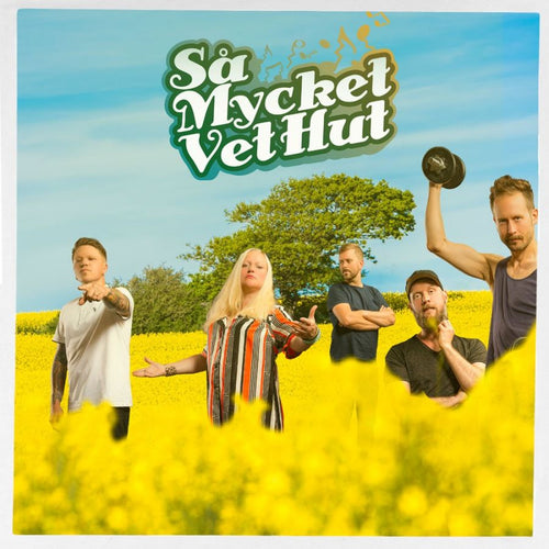 Vet hut - Så mycket Vet hut (12” vinyl) GUL